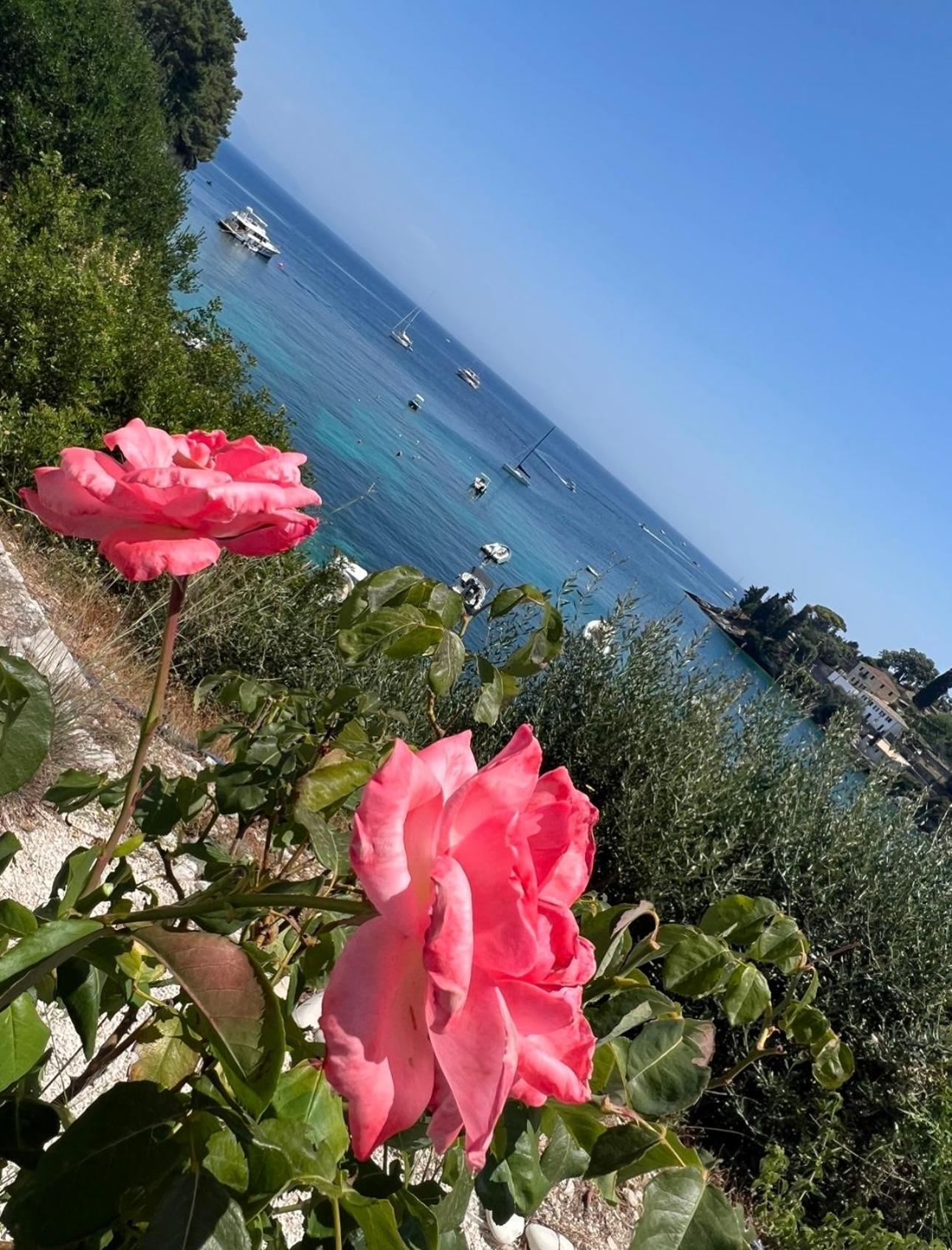 Aronis Spyros Panoramic Seaview Apartments Longós 외부 사진